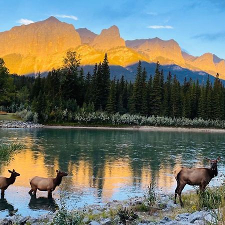 Unit #201 Cozy Mountain View 1Br In Dt Apartment Canmore Exterior photo